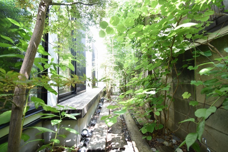 国分寺市本多 戸建