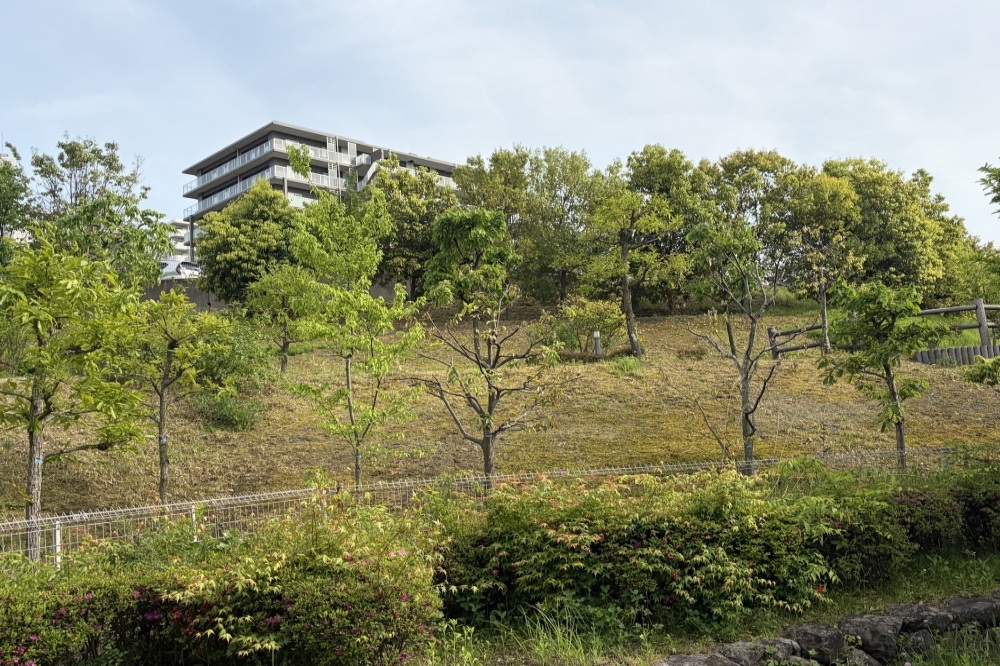 クレヴィア京王堀之内パークナード1 3番街