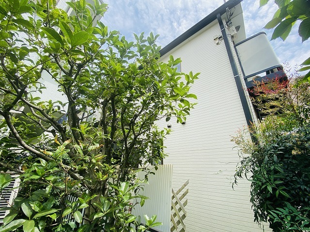 小金井市前原町 売地