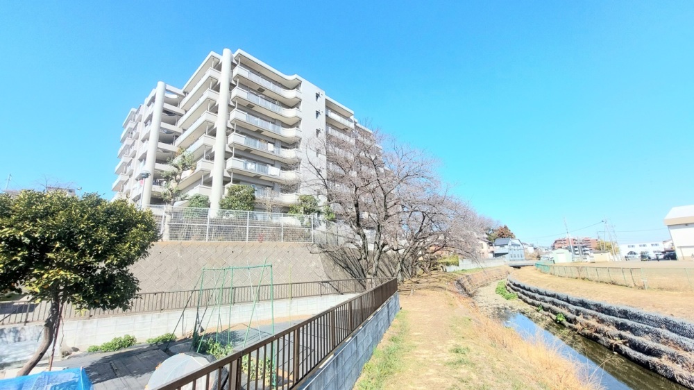 エステ・スクエア武蔵藤沢